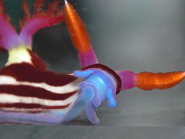 7353