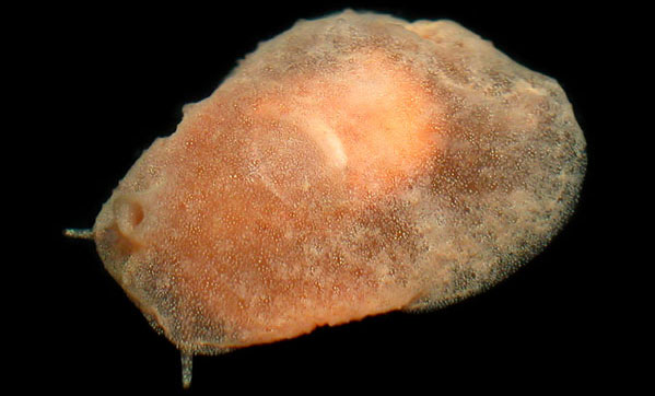 9143