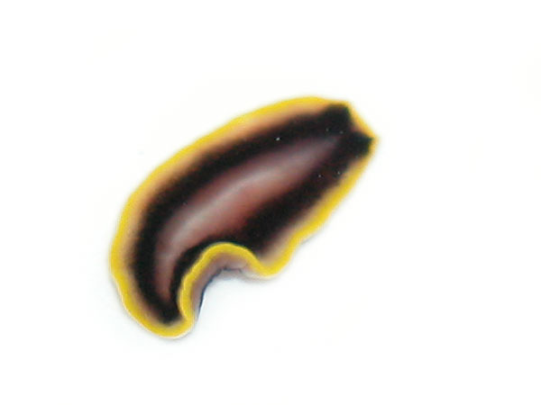 2347a