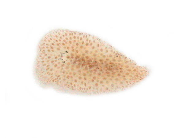 2347a