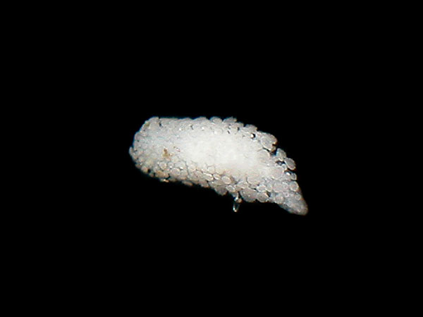 2347a