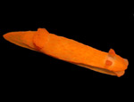 3799a