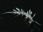 3799a