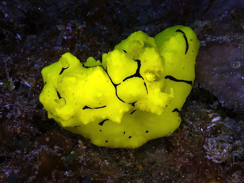 r0002a