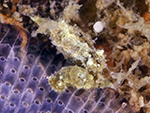 3799a