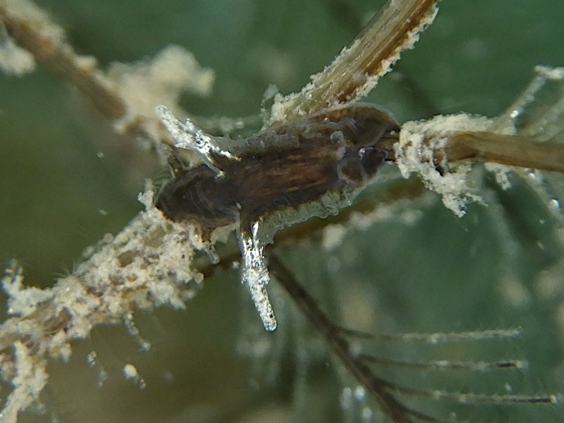 4149a