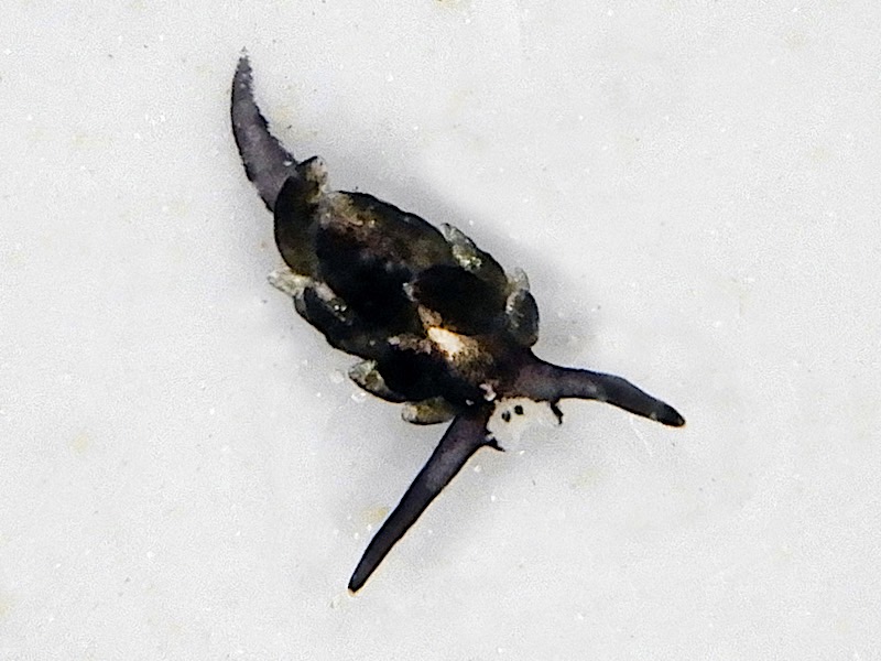 4149a