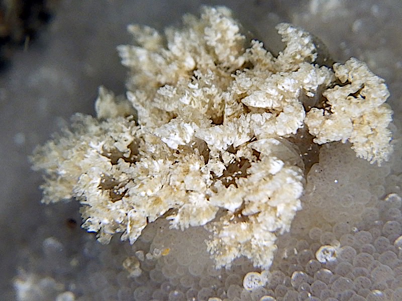4149a
