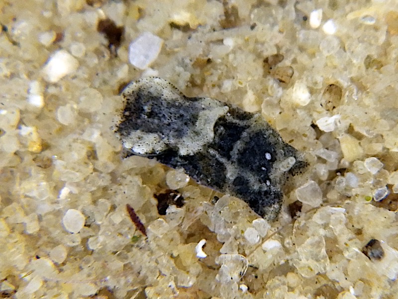 4149a