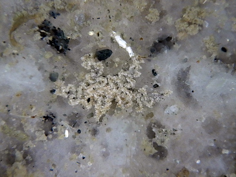 3781