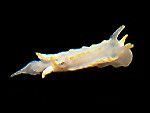 3799a