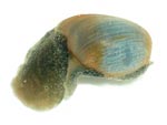 3799a